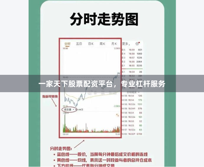 一家天下股票配资平台，专业杠杆服务